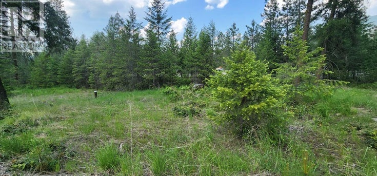 Lot 2  395 Highway - Christina Lake Other(2478085)