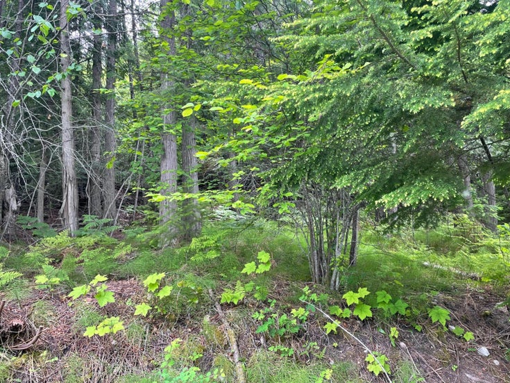 Lot 2 WEST LAKE DRIVE - Christina Lake(2477203)