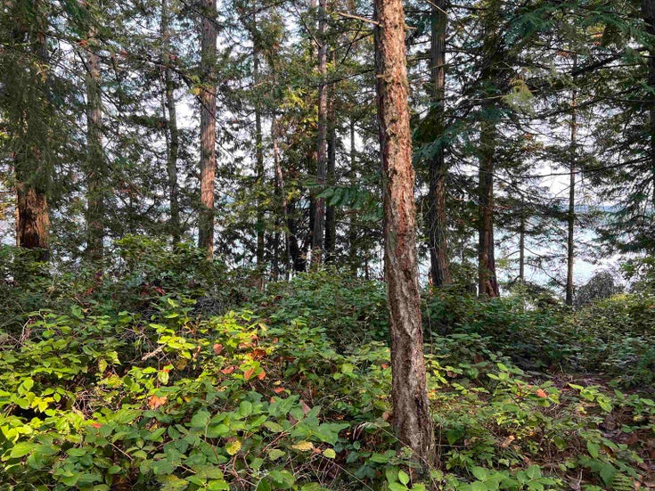 LOT 2 - North End Road - Salt Spring Island Land for Sale(R3047282)