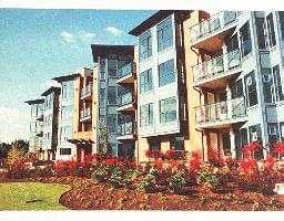 303 20245 53 Avenue - Langley City Apartment/Condo, 2 Bedrooms (F9429026)