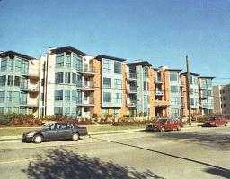 310 20245 53 Avenue - Langley City Apartment/Condo, 2 Bedrooms (F9703080)