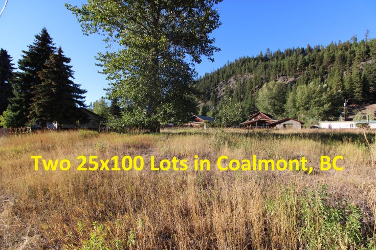 Lots 25/26 Main Street  - Coalmont Vacant Land for sale(185613)