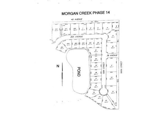 3918 159a Street - Morgan Creek (F1431774)