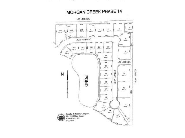 3860 159a Street - Morgan Creek (F1431768)