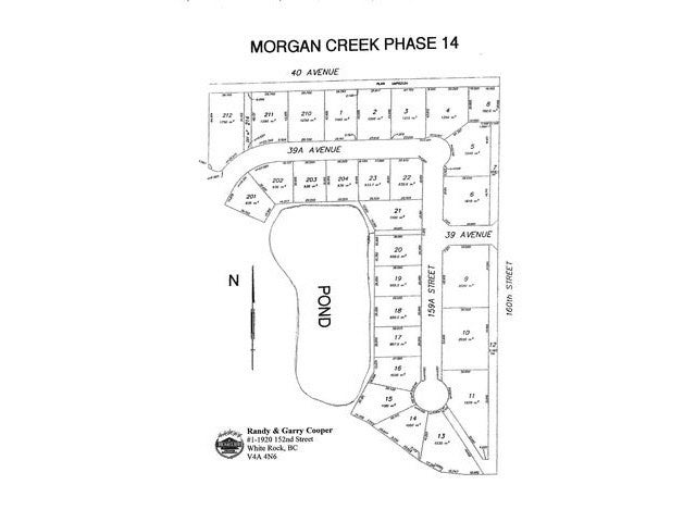 3849 159a Street - Morgan Creek (F1431863)