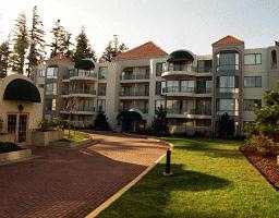 301 1745 Martin Drive - Sunnyside Park Surrey Apartment/Condo, 1 Bedroom (F9704772)