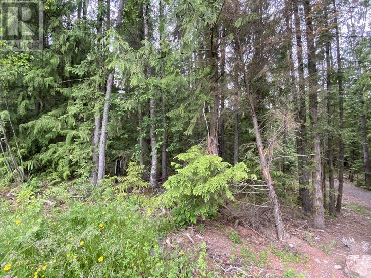LOT 12 LAURIER STREET - New Hazelton for Sale(R3020107)