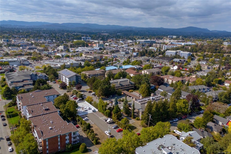 310 - 3215 Alder St - SE Quadra Condo Apartment for Sale, 2 Bedrooms (1023719)