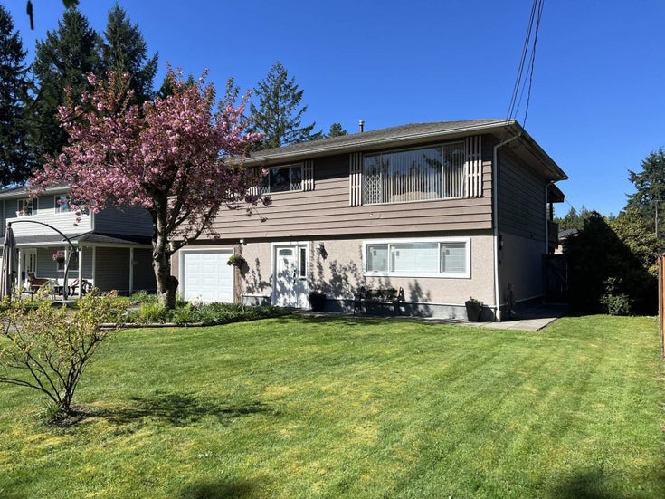 3745 Cedar Drive - Lincoln Park PQ Single Family Residence for Sale, 4 Bedrooms (R2991566)
