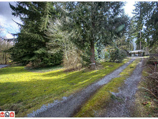 15758 Mountain View Drive - Grandview Surrey House with Acreage for sale, 4 Bedrooms (F1107106)