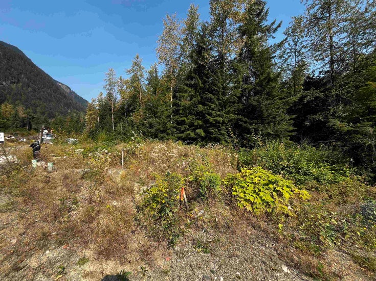 SVE39 Old Hope Princeton Highway - Sunshine Valley Land for Sale(R3018642)