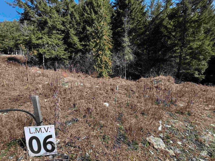 LMV 6 Old Hope Princeton Highway - Sunshine Valley Land for Sale(R3064489)