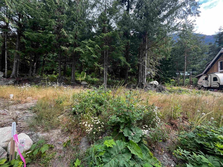 HG136 Old Hope Princeton Highway - Sunshine Valley Land for Sale(R3071641)