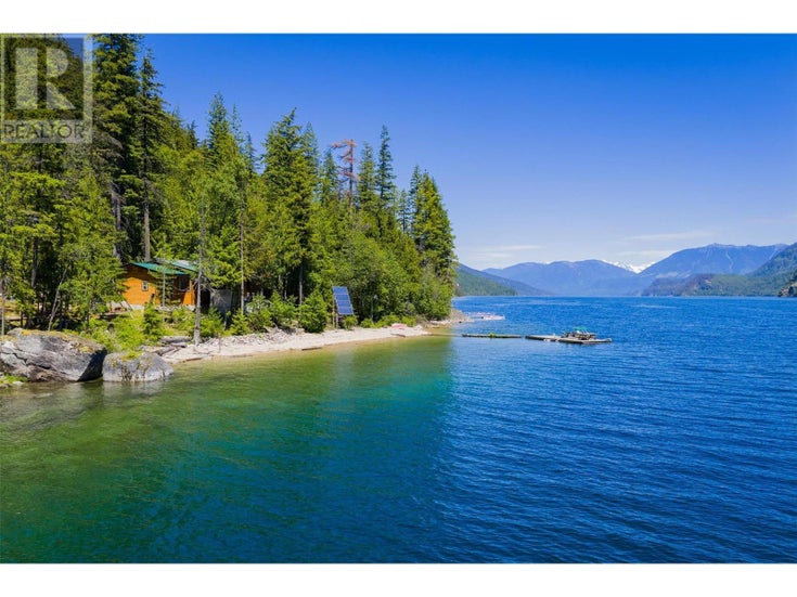 9557 Slocan Lake - Slocan House for Sale, 3 Bedrooms (10348772)