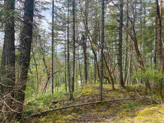 LOT 2 SPIPYUS WAY - Pender Harbour Egmont for sale(R2818575)