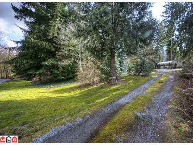 15758 Mountain View Drive - Grandview Surrey House with Acreage, 4 Bedrooms (F1107106)