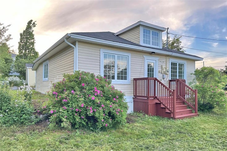 15 Caseys Lane - Spaniards Bay Single Family(1274395)