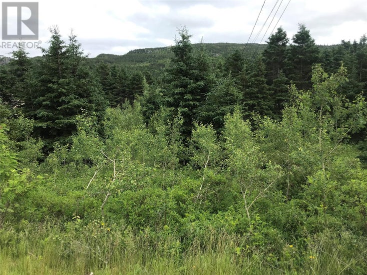 0 Snows Lane Road - North River for Sale(1216928)