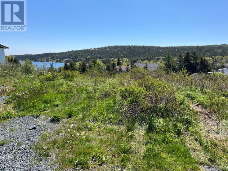 153 Back Track Road - Spaniards Bay for sale(1259880)