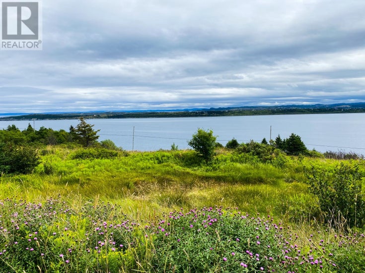 58 Anthonys Road - Spaniards Bay for Sale(1267339)