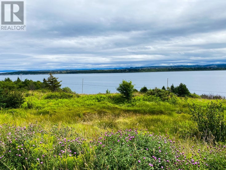58 Anthonys Road - Spaniards Bay for sale(1267339)