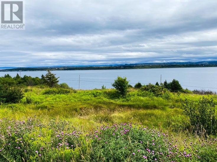 58 Anthonys Road - Spaniards Bay for Sale(1267339)