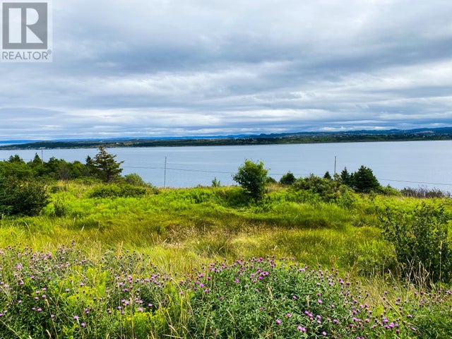 58 Anthonys Road - Spaniards Bay for sale(1267339)