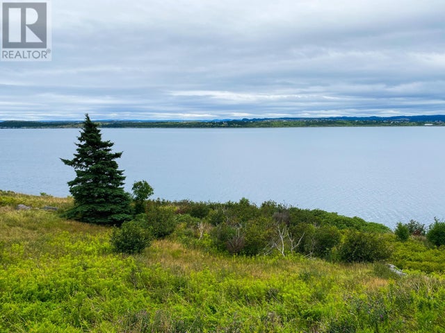 0 Anthonys Road - Spaniards Bay for sale(1267338)