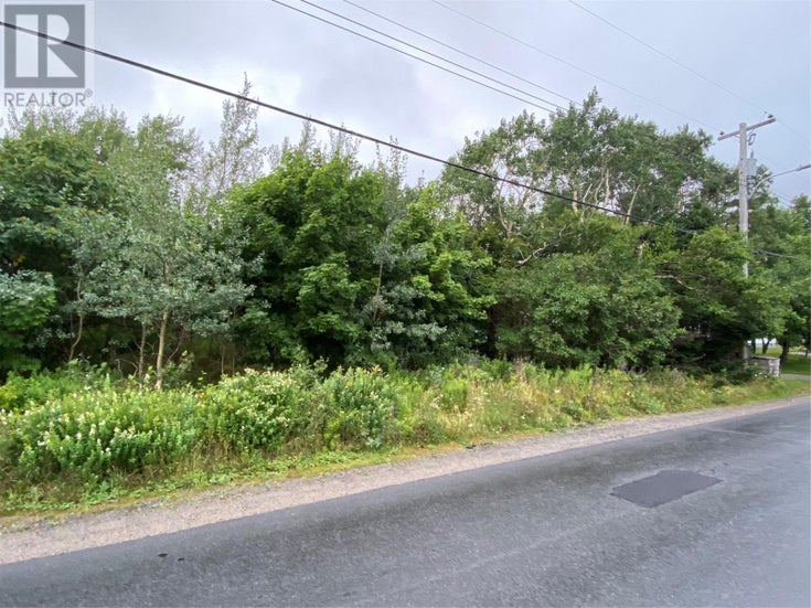194 Country Road - Bay Roberts for sale(1273264)