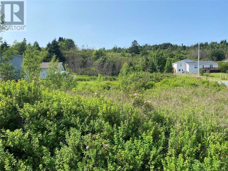 140-142 Country Road - Bay Roberts for sale(1274922)