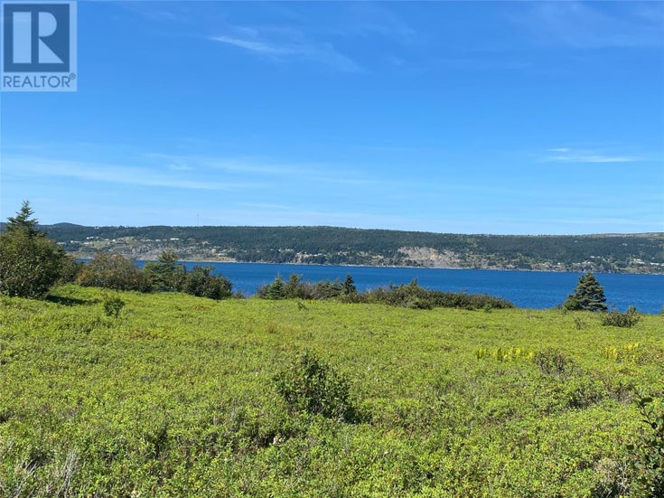 365 Central Street - Bay Roberts for sale(1276803)