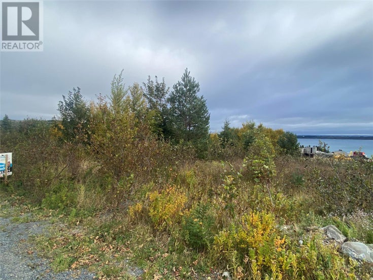 5 Jones Road - Spaniards Bay for sale(1280036)