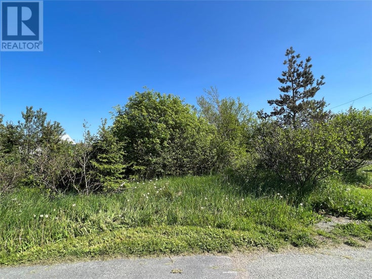 222 Neck Road - Bay Roberts for Sale(1289661)