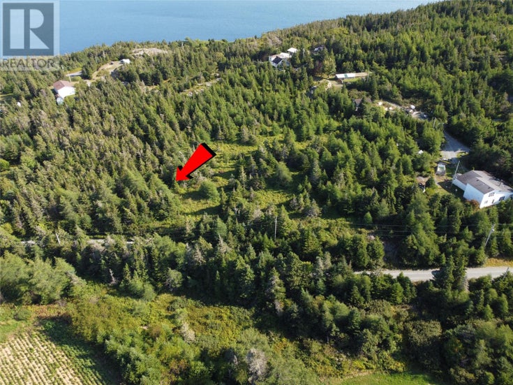 0 Cliff Meadows Road - Bareneed for Sale(1290151)