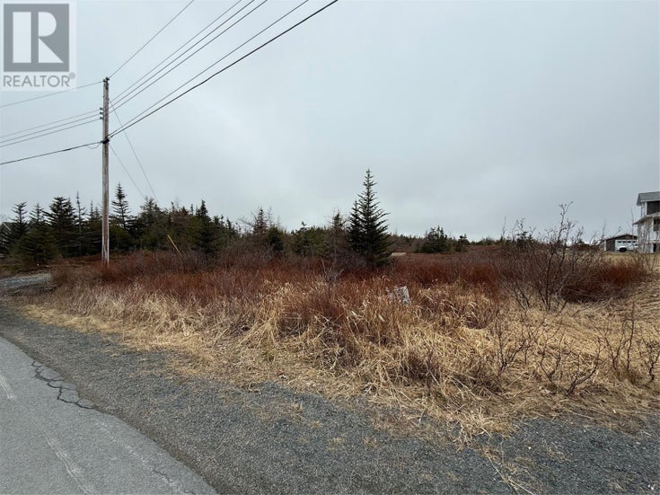 163 Ridge Road - Spaniards Bay for Sale(1292289)