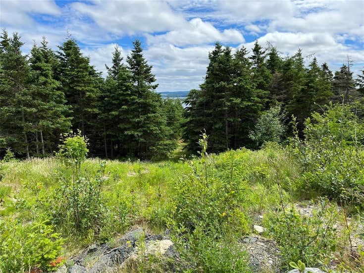 0 Eady's Road - Spanairds Bay Vacant Land for sale(1257901)