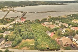 0 Heneys Pond Road Extension - Bay Roberts Vacant Land for sale(1233919)