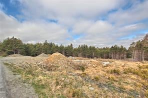 127 Neck Road - Bay Roberts Vacant Land for sale(1231204)