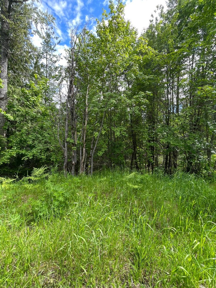 16301 Wadds Road - Crawford Bay Vacant Land for sale(2466811)