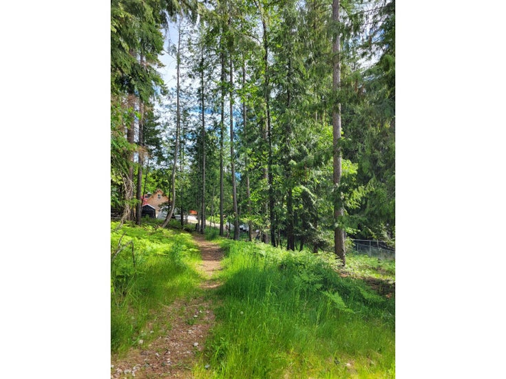 220A GOVERNMENT HILL - Nakusp for sale(2454600)