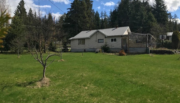 316 NELSON AVENUE NW - Nakusp House for sale, 2 Bedrooms (2475350)