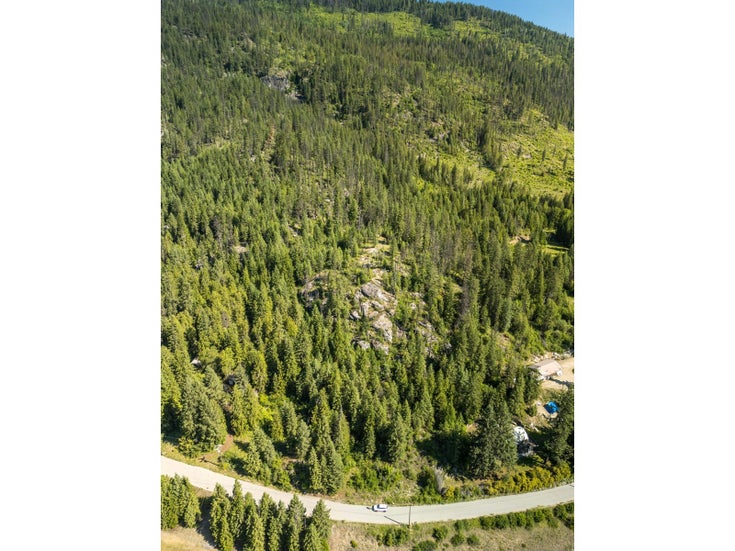 Lot 1 ERIE-ROSS SPUR ROAD - Salmo for sale(2478386)