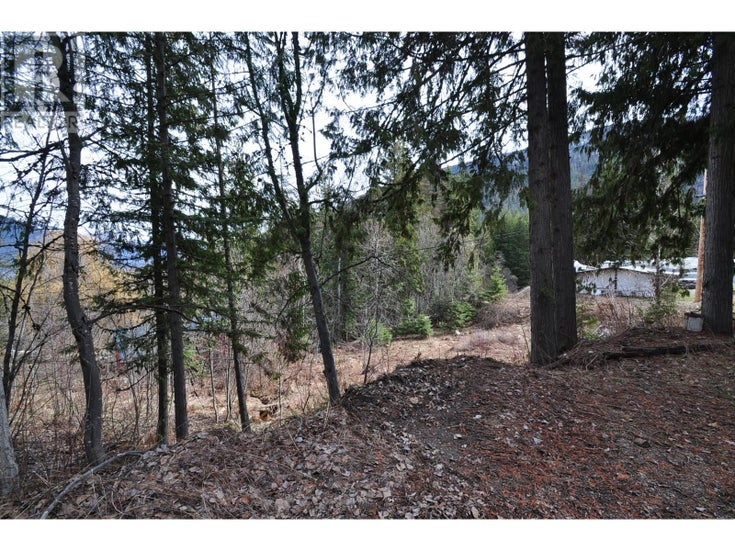 2835 SILVER KING Road - Nelson Other for Sale(10344795)