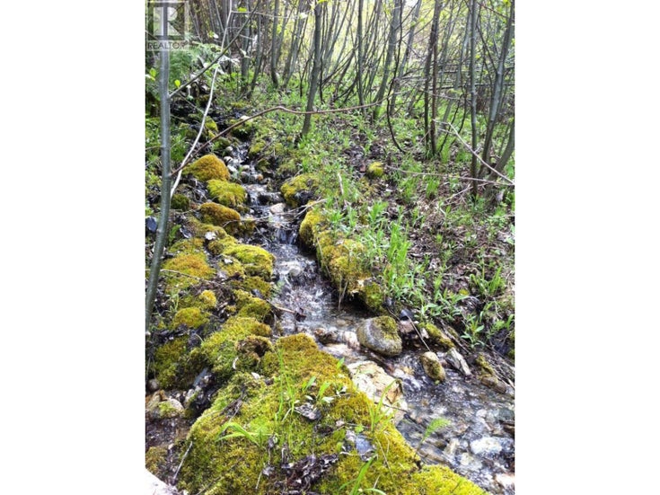 549 ROSEBUD LAKE Road - Salmo Other for Sale(10359946)