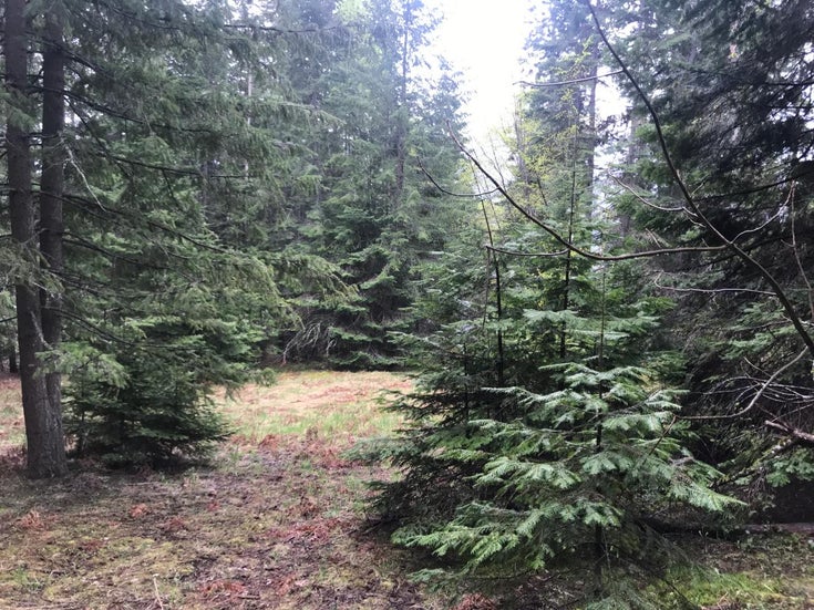 6021 Longbeach Rd - North Nelson To Kokanee Creek Vacant Land(2464899)