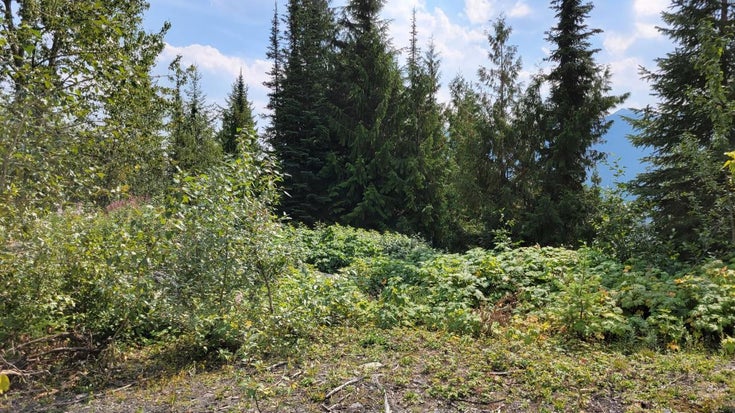 DL 1163 Highway 31A, Kaslo, BC - Kaslo Vacant Land(2466219)