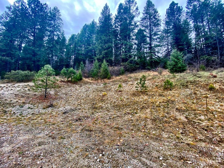 Lot B Ross Spur Road - Nelson South/Salmo Rural Vacant Land(2455358)