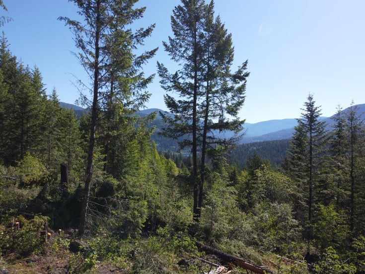 Lot 2 Falls Creek Road - Nelson West/South Slocan Vacant Land(2451580)