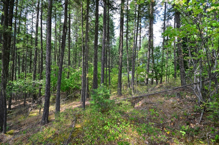 Lot 13 Pine Ridge Road - Balfour to Kaslo West Vacant Land(2450055)