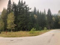 106 Tamarac Street - Nelson South/Salmo Rural Vacant Land(2454591)